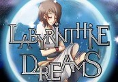 Labyrinthine Dreams Steam CD Key