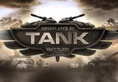 Gratuitous Tank Battles Steam CD Key