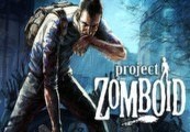 Project Zomboid RU VPN Required Steam Gift