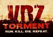 VRZ: Torment Steam CD Key