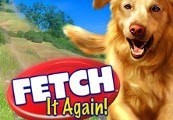 Fetch It Again Steam CD Key