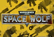 Warhammer 40,000: Space Wolf - Exceptional Card Pack DLC Steam CD Key