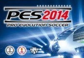 Pro Evolution Soccer 2014 + World Challenge DLC Bundle Steam Gift