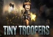 Tiny Troopers Steam Gift