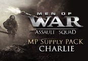 Men Of War: Assault Squad - MP Supply Pack Charlie Steam CD Key