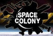 Space Colony: Steam Edition Steam CD Key