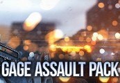 PAYDAY 2: Gage Assault Pack Steam CD Key