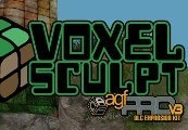 Axis Game Factorys AGFPRO - Voxel Sculpt DLC Steam CD Key