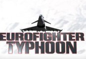 Eurofighter Typhoon Steam CD Key