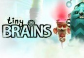 Tiny Brains Steam Gift