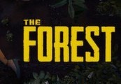 The Forest Steam Account