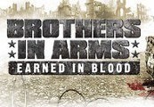 Brothers In Arms: Earned In Blood Steam Gift