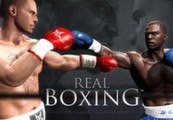 Real Boxing Steam Gift