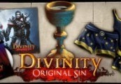Divinity: Original Sin - Source Hunter DLC Steam CD Key