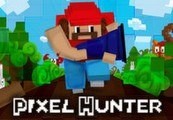 Pixel Hunter Steam CD Key