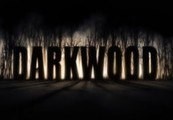 Darkwood EU Steam CD Key