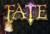 FATE: Hero Bundle Steam CD Key