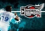 IHF Handball Challenge 14 EU Steam CD Key