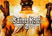 Saints Row 2 RoW Steam CD Key