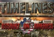 Timelines: Assault On America Steam Gift