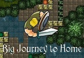 Big Journey To Home Steam CD Key