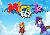 Miracle Fly Steam CD Key