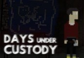 Days Under Custody Steam CD Key