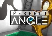 Perfect Angle Steam CD Key