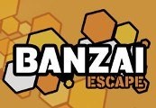 Banzai Escape Steam CD Key