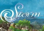 Storm EU Steam CD Key