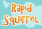 Rapid Squirrel Steam CD Key