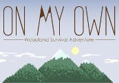 

On My Own Steam CD Key