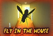 Fly In The House Steam CD Key