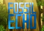 Fossil Echo Steam CD Key