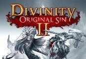 Divinity: Original Sin 2 Eternal Edition Steam Account