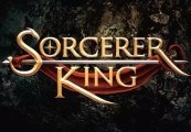 Sorcerer King EU Steam CD Key