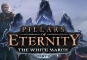 Pillars Of Eternity - The White March Part I DLC RU VPN Activated Steam CD Key