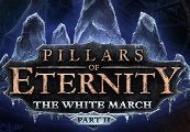 Pillars Of Eternity - The White March Part II DLC RU VPN Activated Steam CD Key