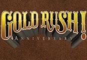 Gold Rush! Anniversary Special Edition Steam CD Key