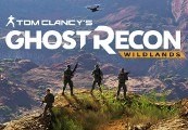 Tom Clancy%27s Ghost Recon Wildlands EU Ubisoft Connect CD Key