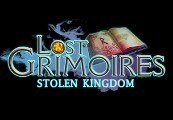 Lost Grimoires: Stolen Kingdom Steam CD Key
