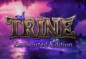Trine Enchanted Edition EU Steam CD Key