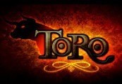 Toro Steam CD Key
