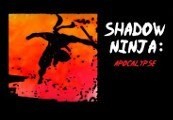 Shadow Ninja: Apocalypse Steam CD Key