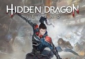 Hidden Dragon: Legend Steam CD Key