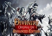 Divinity: Original Sin Enhanced Edition AR XBOX One / Xbox Series X|S CD Key