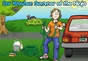 Car Washer: Summer Of The Ninja Steam CD Key
