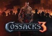 Cossacks 3 Steam CD Key