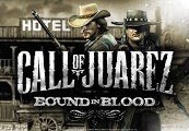 Call Of Juarez: Bound In Blood EU Steam CD Key