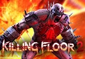 Killing Floor 2 Epic Games CD Key